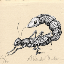 Entomology 1