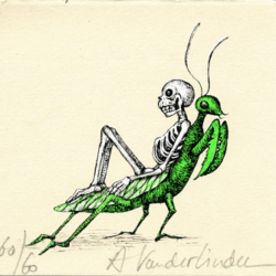 Entomology 3