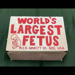 World's Largest Fetus, c/o M.C.D. Novelty Co., N.Y.C, U.S.A