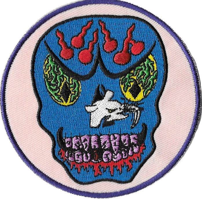 Baby Blue Skull Patch