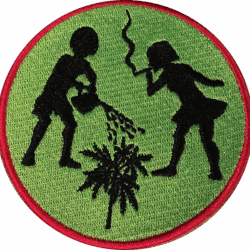 Green Weeds Patch